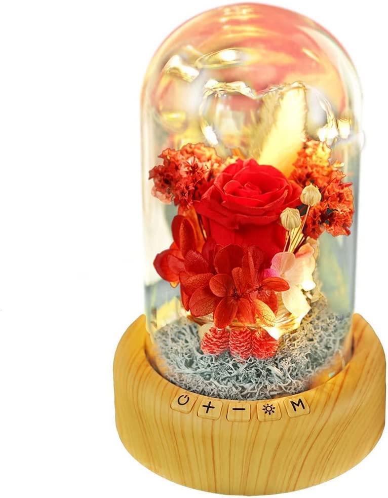 SWEETIME Mother's Day Red Rose Night Light Real Eternal in Glass Dome, Preserved Rose Flower Lamp with Speaker,Forever Flowers Gift for Mom, Wife, Girlfriend on Mother's Day - Image 1